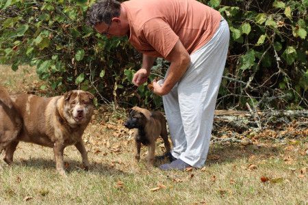 aquariophile Andre19