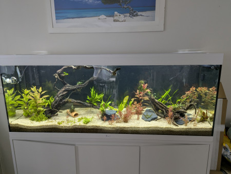 aquariophile wilexpel