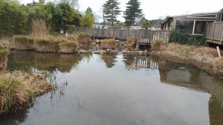 aquariophile Karim78