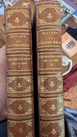 aquariophile WembanyaMaquereau