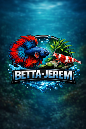 aquariophile BETTA-JEREM