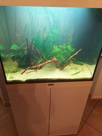 aquariophile Masta59430