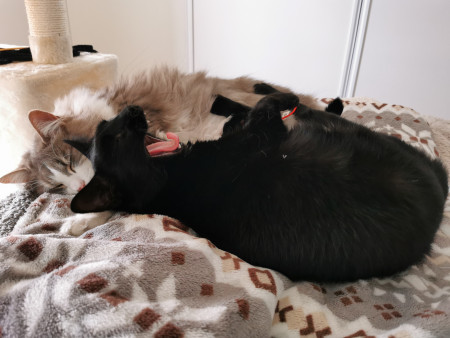 aquariophile Arpanet