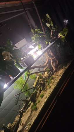 aquariophile Canage10