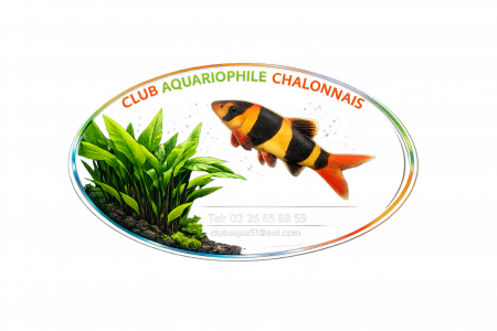 club club aquariophile chalonnais
