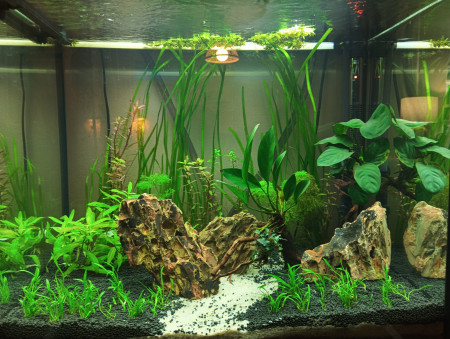 aquariophile Masta59430