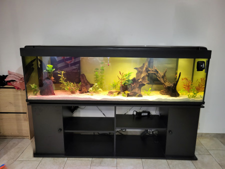 aquariophile Paulpepe34