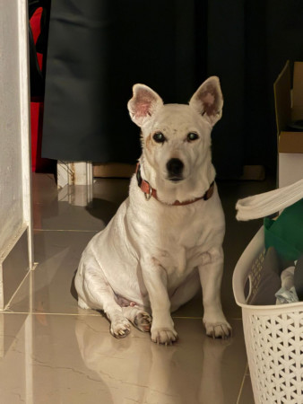 aquariophile vinces30