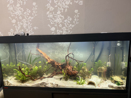 aquariophile Mahery94