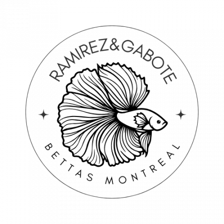 aquariophile Ramirez1984