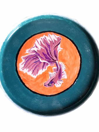 aquariophile SayroTDF