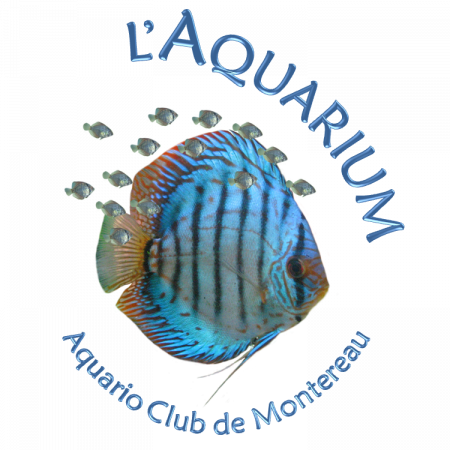 club Aquario Club de Montereau