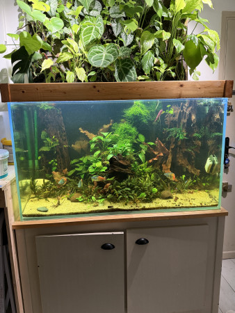 aquariophile Etienne4506