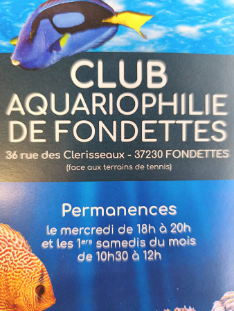aquariophile clubaqua37