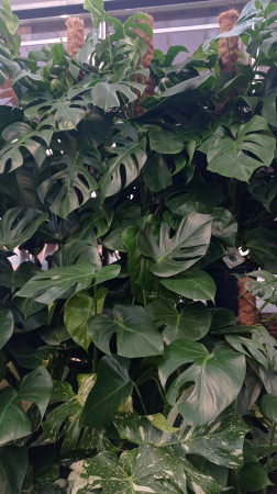 aquariophile maxxouuu