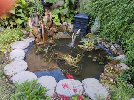 aquariophile Severinenrickyuna33