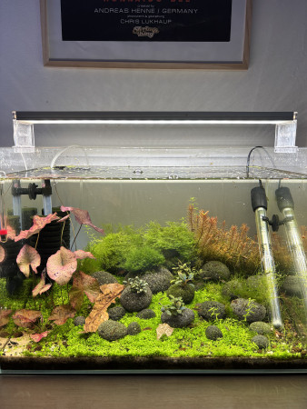 aquariophile Leroy.v