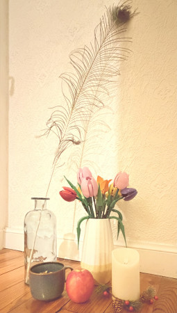 aquariophile Indigoblue501