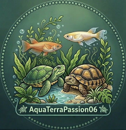 aquariophile AquaTerraPassion06