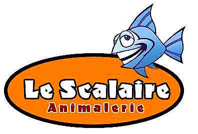aquariophile le_scalaire_animalerie