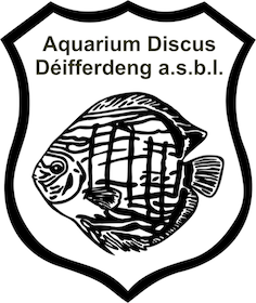 aquariophile discusdifferdange