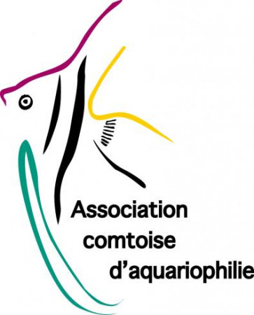 club Association Comtoise d'Aquariophilie