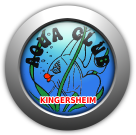 club Aquaclub de Kingersheim