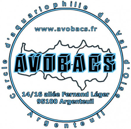 club AVOBACS - Cercle Aquariophile du Val d'Oise