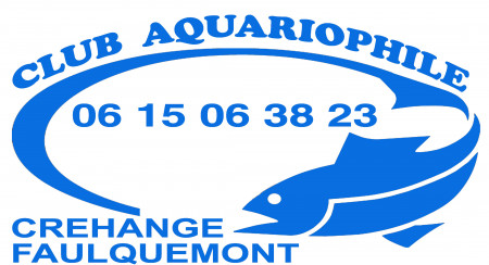 club Club Aquariophile Crehange er Faulquemont