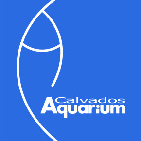 aquariophile CalavdosAquarium