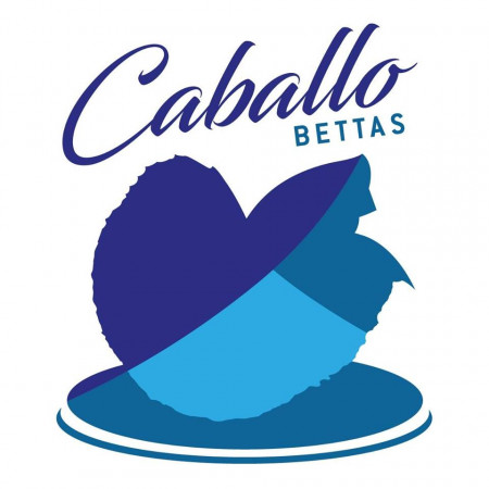 aquariophile Caballo-Bettas-Crga