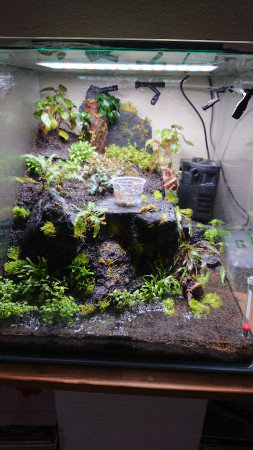 aquariophile Yo22
