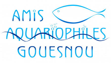 club Amis aquariophiles de Gouesnou