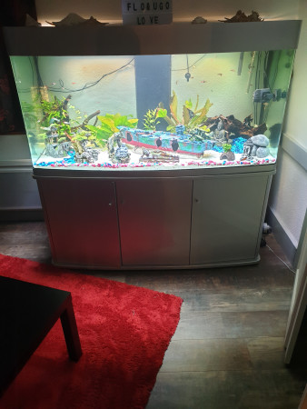 aquariophile Lacdar39