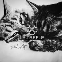 aquariophile letrefle-createur