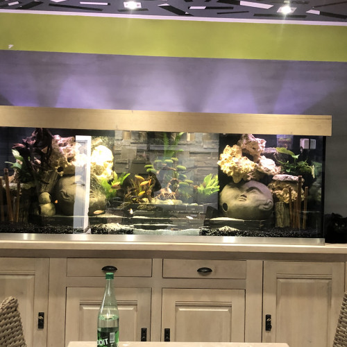 A vendre prochainement aquarium 840 litres  avec décantation inox  dy