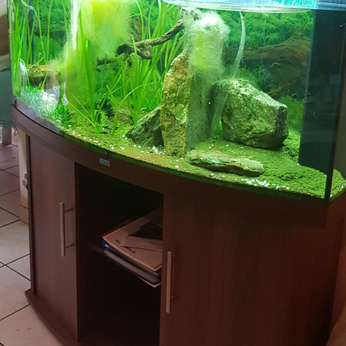 Aquarium JUWEL modèle vision 260