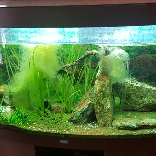 Aquarium JUWEL modèle vision 260