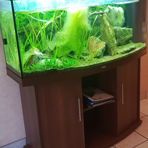 Aquarium JUWEL modèle vision 260