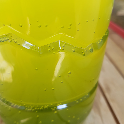 Daphnies dans 1,5L d'eau verte.