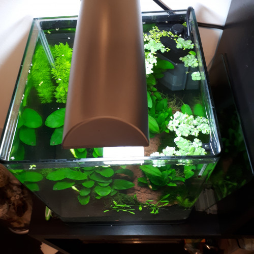 Lampe Dennerle Nano Light