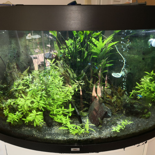 Vend aquarium juwel trigon 350