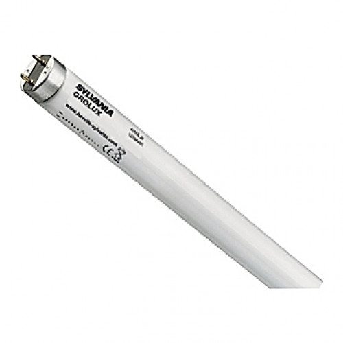 Tube néon T5 Gro-Lux - 38W - 104cm