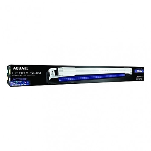 Eclairage AQUAEL LEDDY SLIM ACTINIC (Blanc) 36W - 100 à 120cm