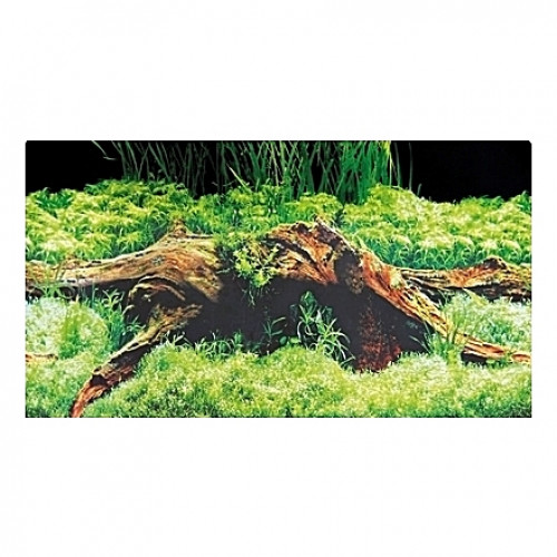 Poster HOBBY Spring / Moos - 120x50cm