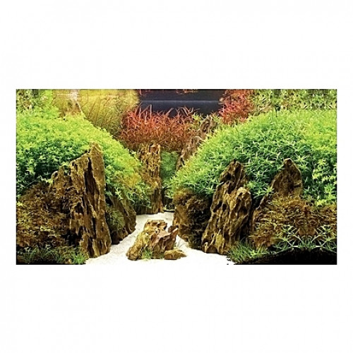 Poster HOBBY Canyon / Woodland 60x30cm