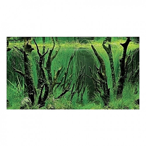 Poster HOBBY Canyon / Woodland 100x50cm