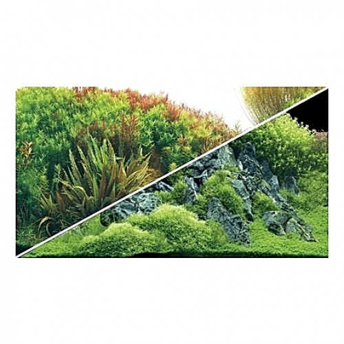 Poster HOBBY Planted River / Green Rocks 100x50cm