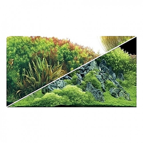 Poster HOBBY Planted River / Green Rocks 120x50cm