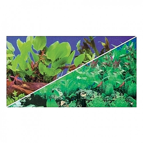 Poster HOBBY Plantes 1/5 100x50cm DF HOBBY